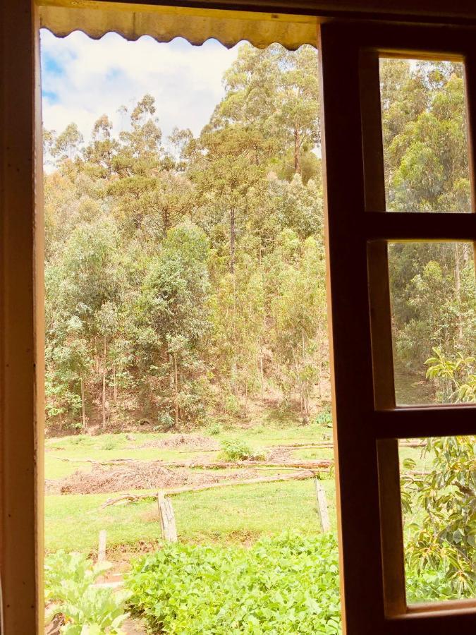 Casa Da Vo Adelina Lägenhet Urubici Exteriör bild